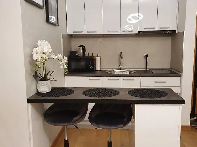 Centar View Lux * Novi Sad